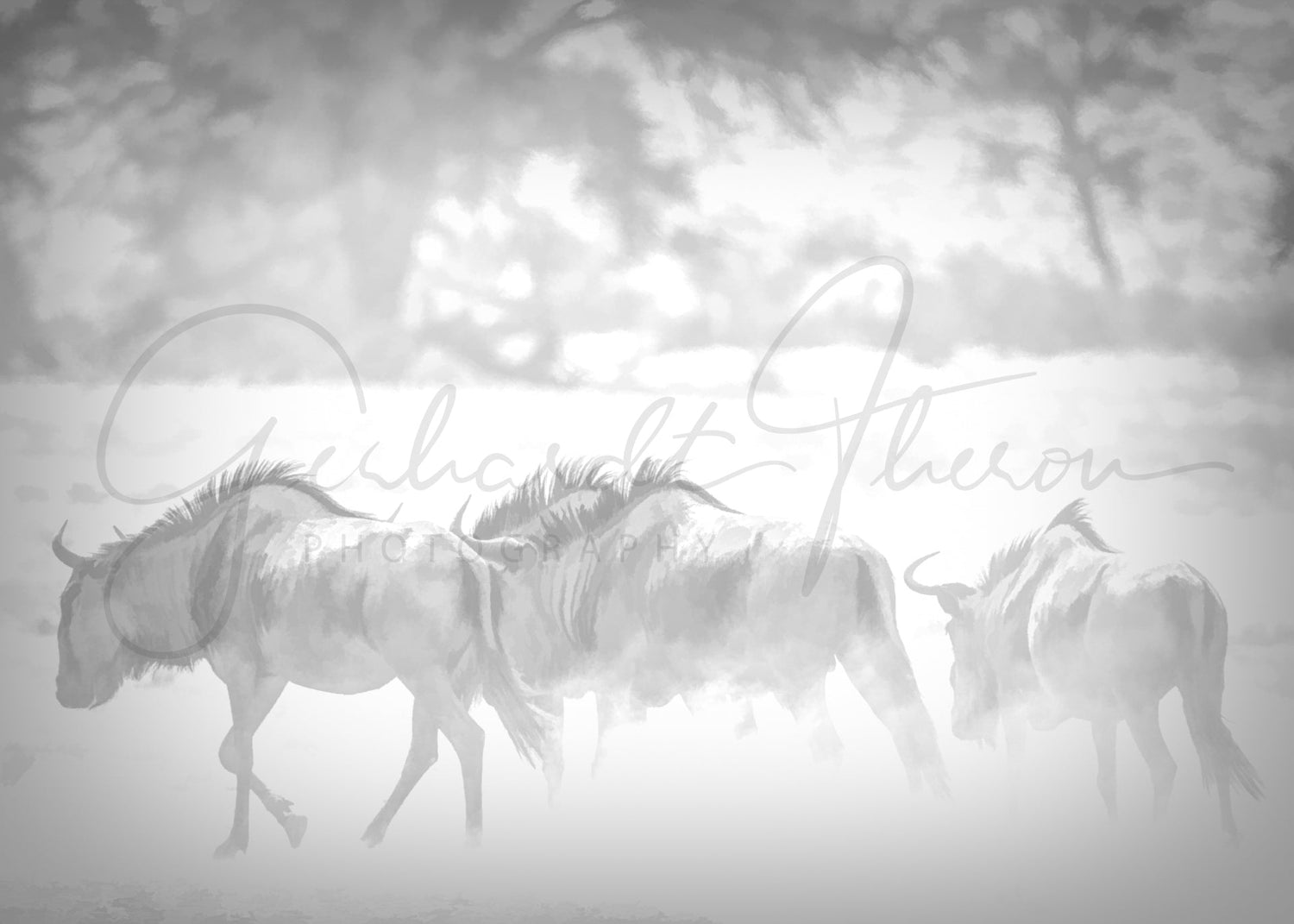 Blue Wildebeest Collection
